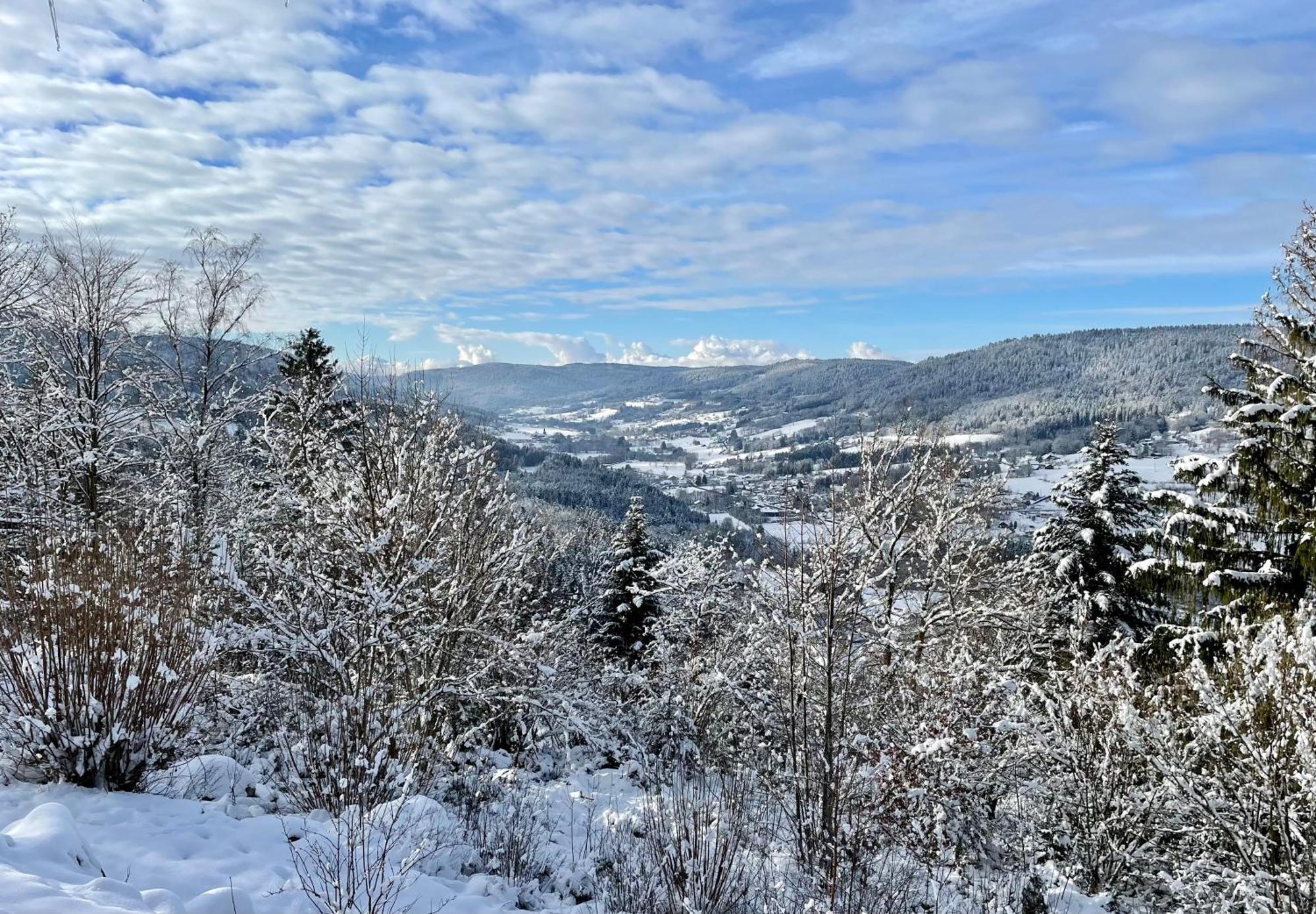 Le Gite Cozy De Bouvacote Avec Vue Panoramique Et Sauna Le Tholy Eksteriør bilde